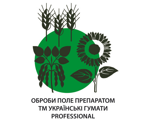 1 крок