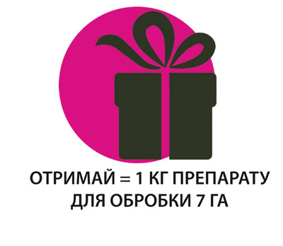 5 крок