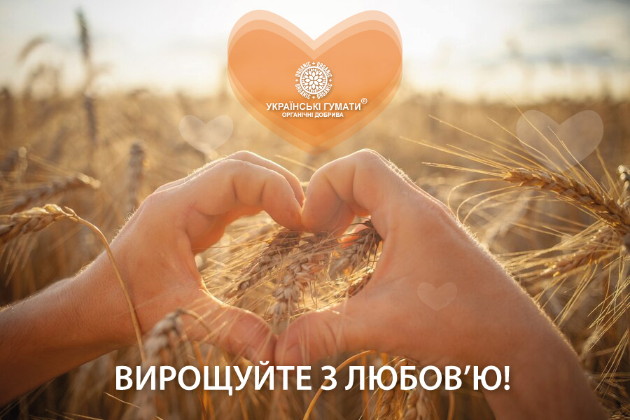 valentines day ukrainski humaty