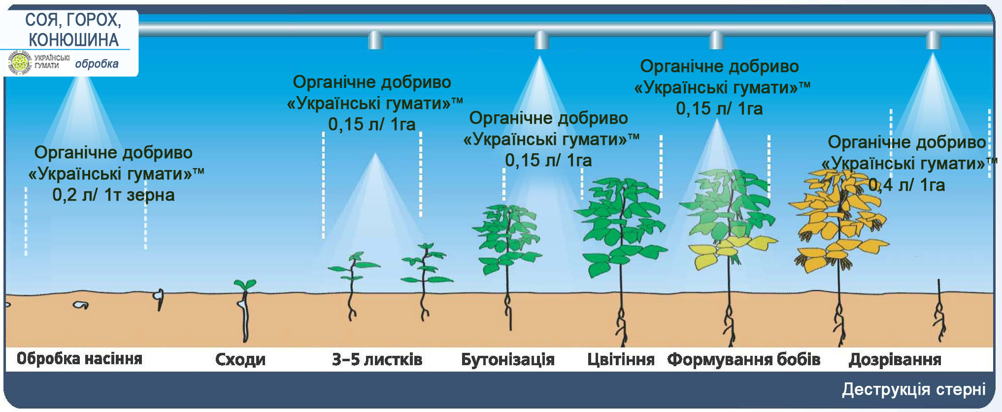 Технологічна схема обробки зернобобових культур гуматом калію ТМ Українські гумати