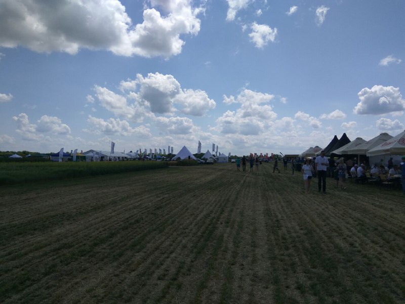 Українські гумати Нове Зернятко 2019