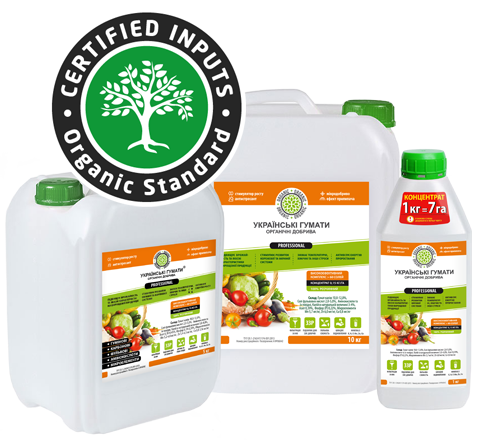 100 natural gumat 2024
